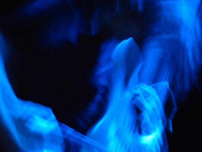 10515_461276057249150_1646965217_n