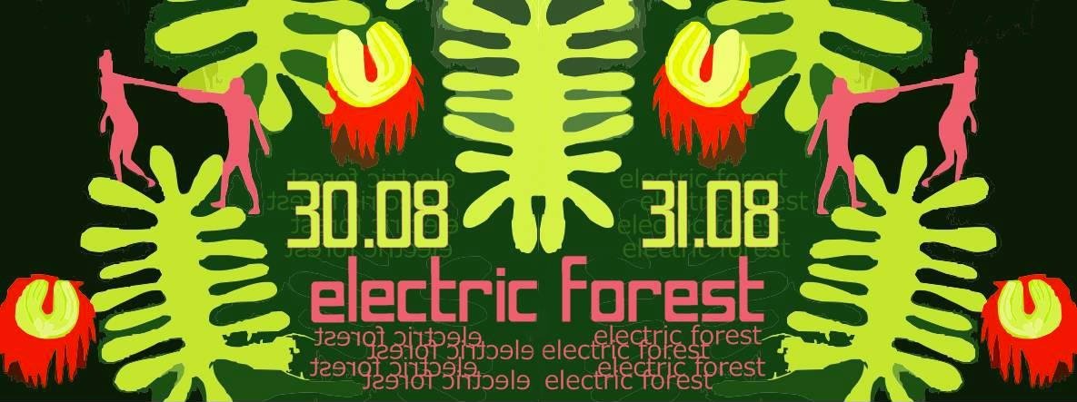 electric-forest-willaFSC